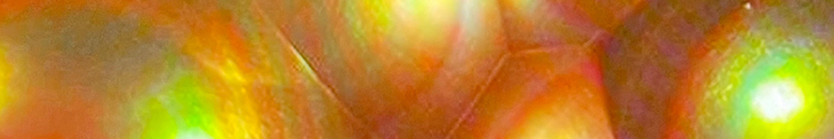 Chanel Men's Footwear Banner